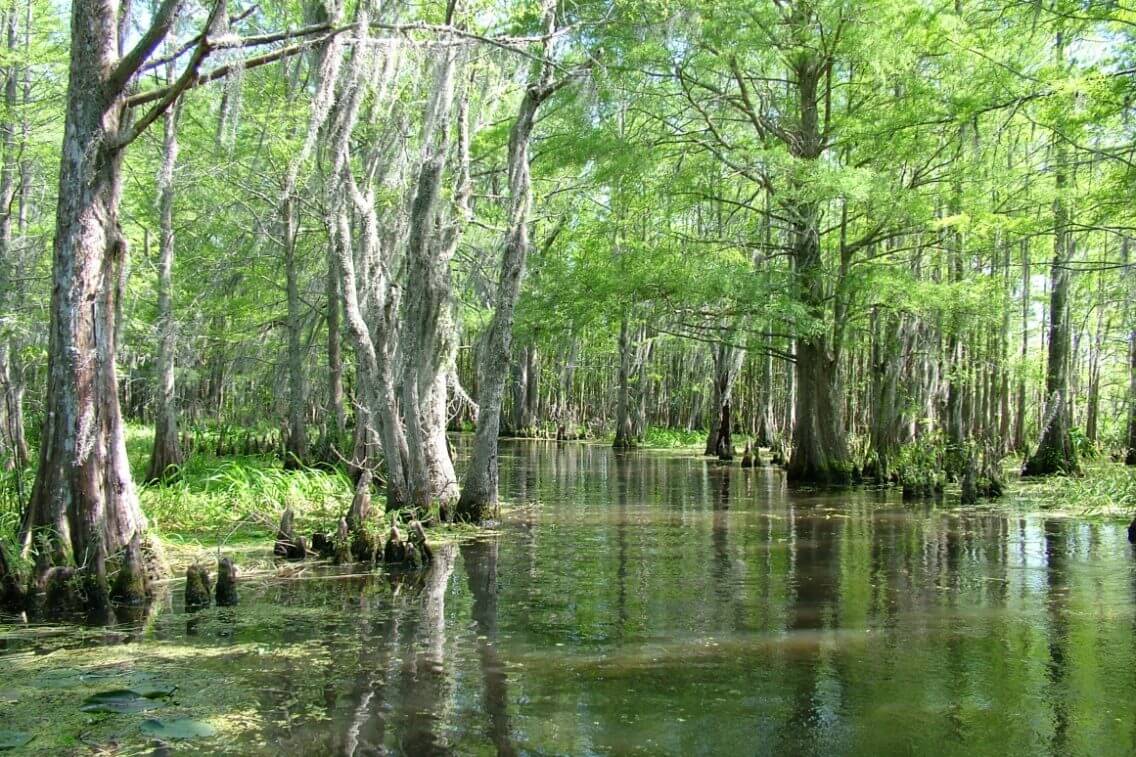 12 Hidden Gems in Louisiana