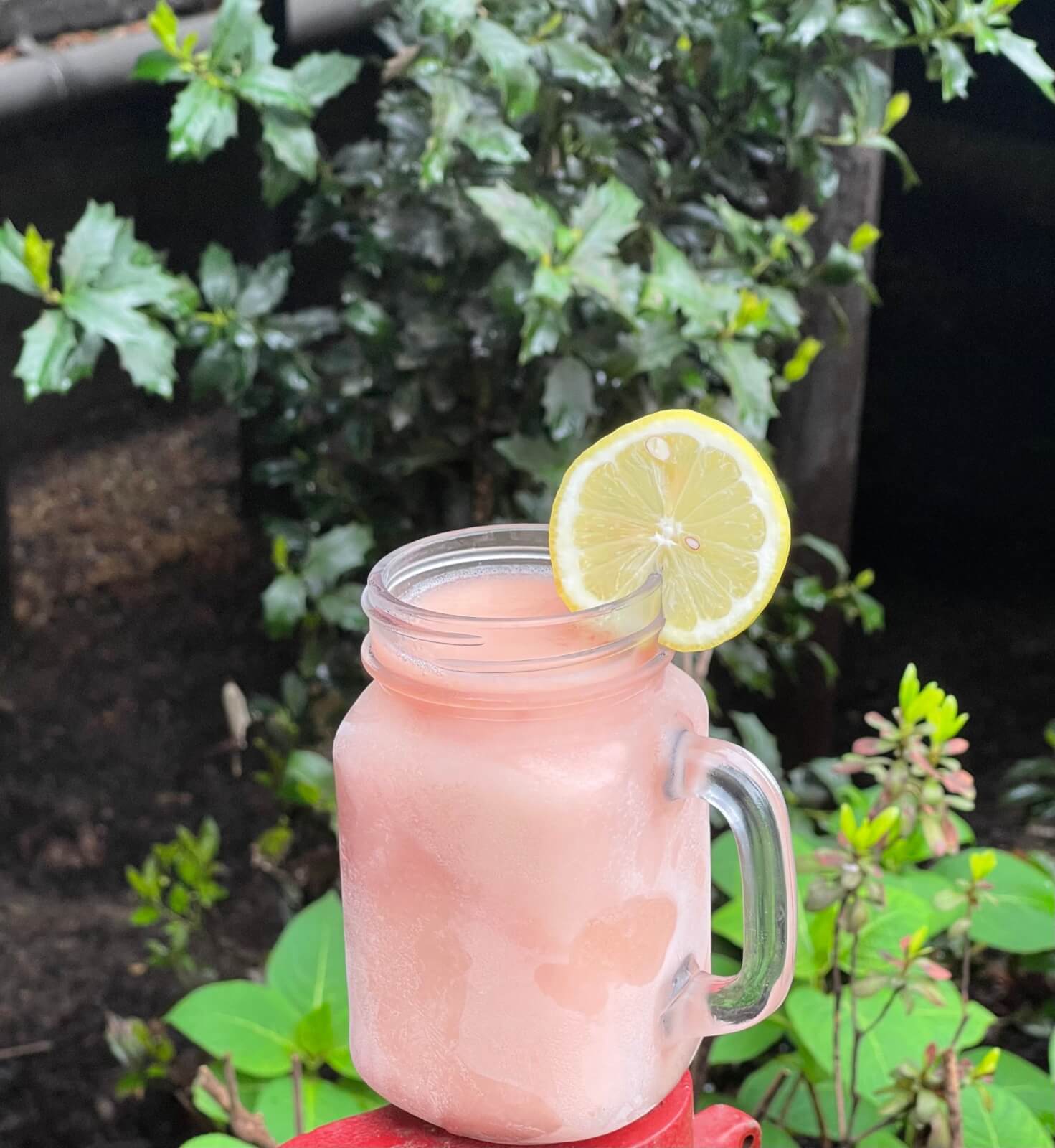 The Juke Joint Juice from Babalu in Memphis, topped with a lemon wedge.