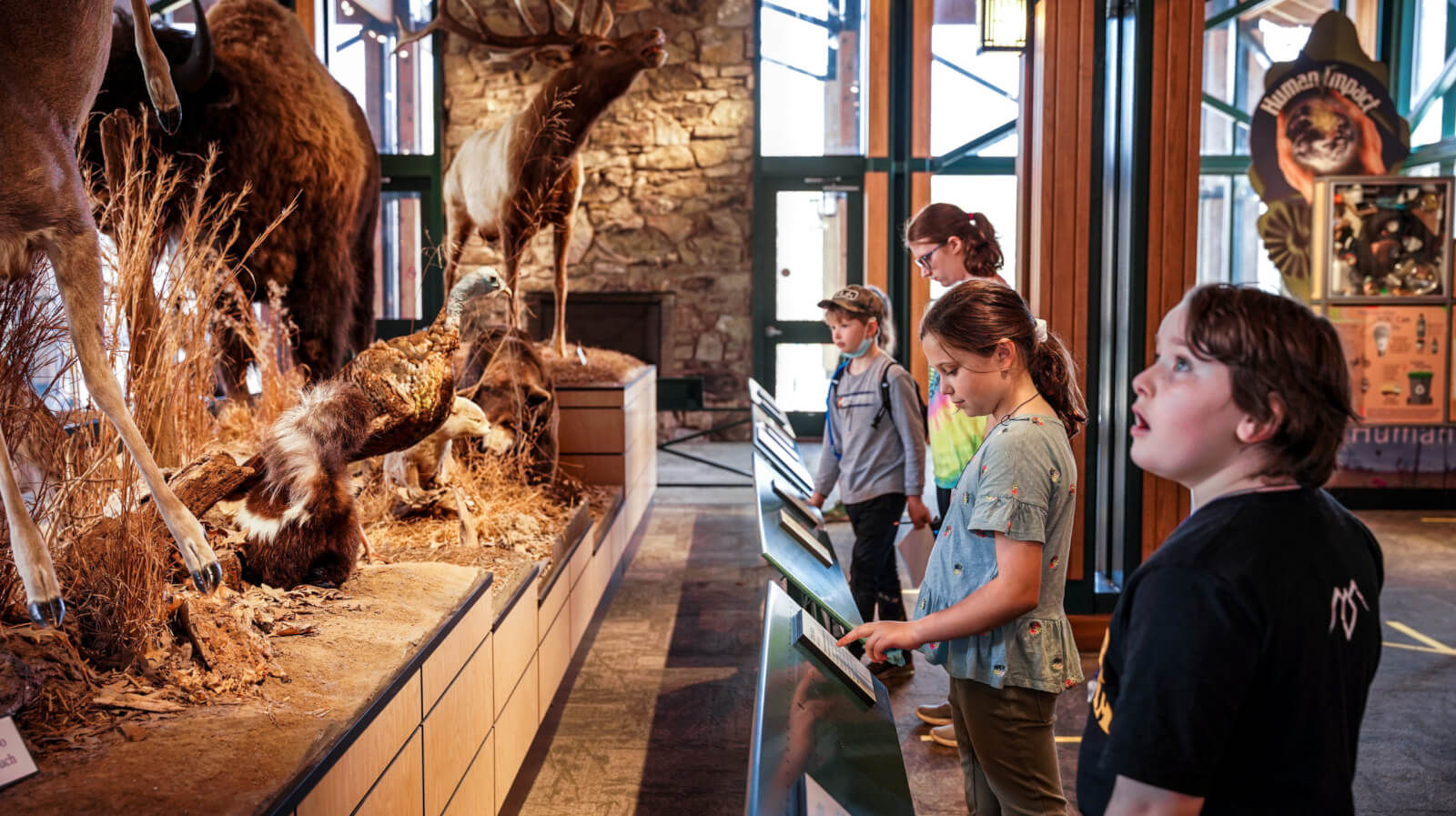 children viewing museum nature exhibit