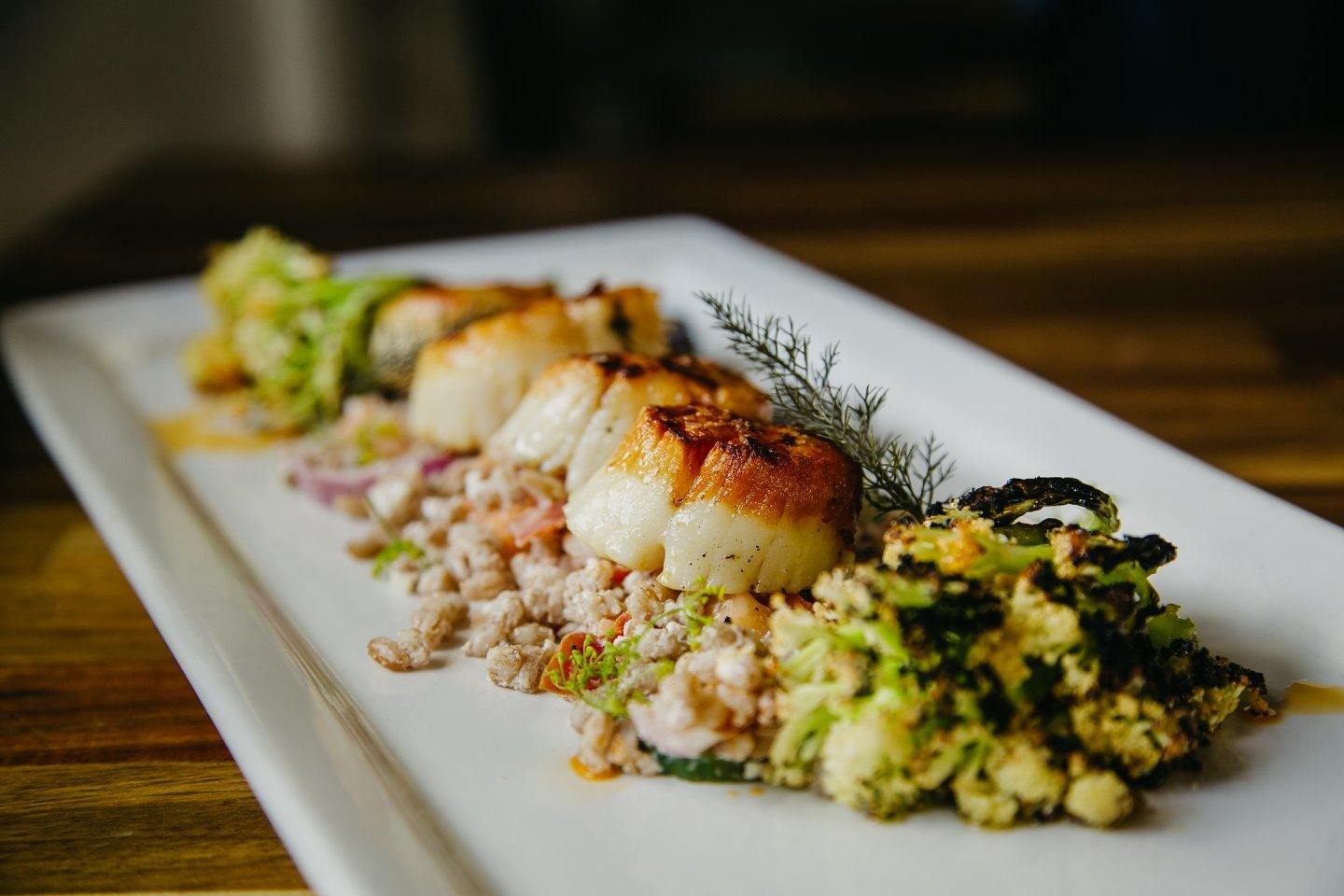 Rectangular plate of seared scallops