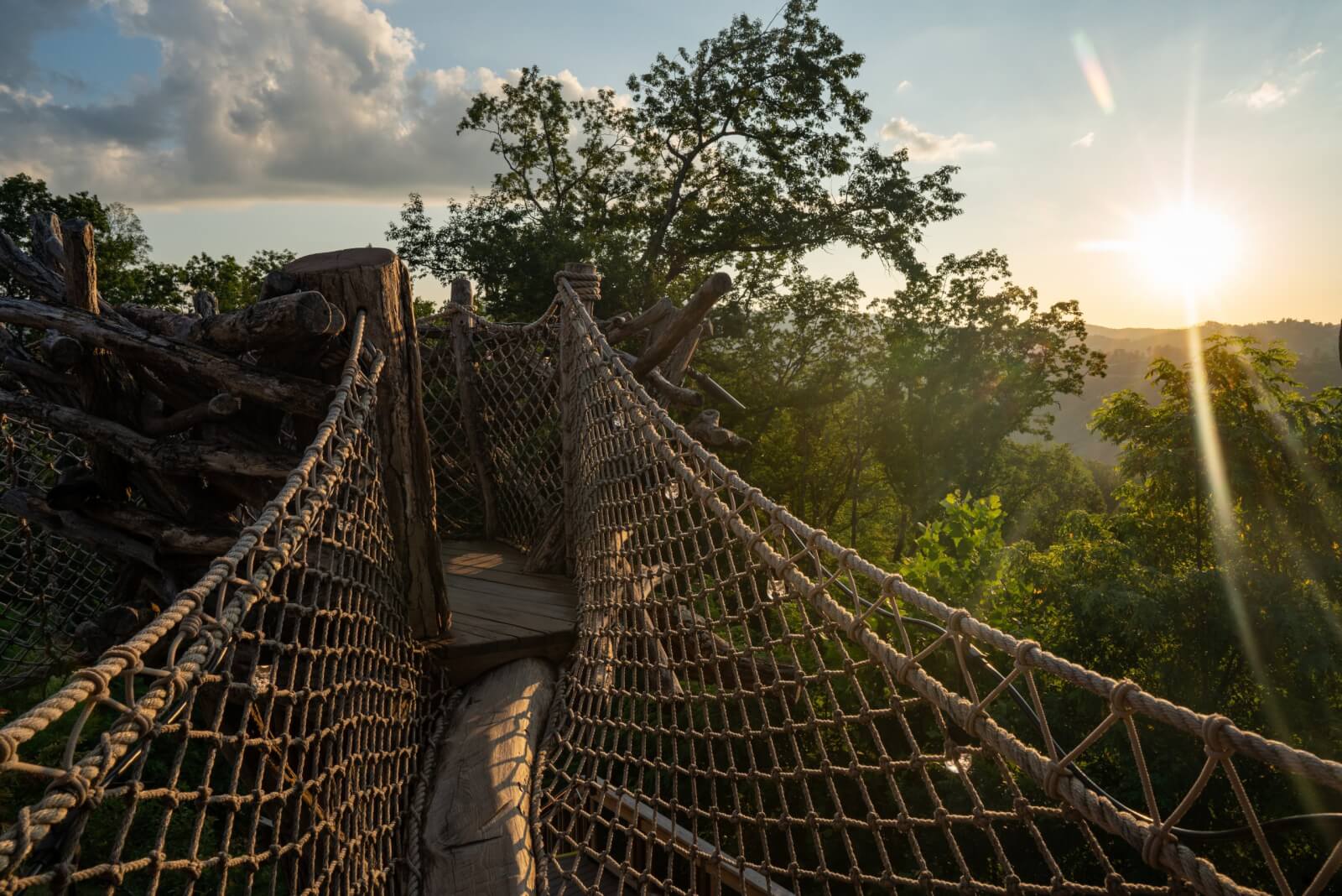 Anakeesta's Treetop Skywalk at dusk